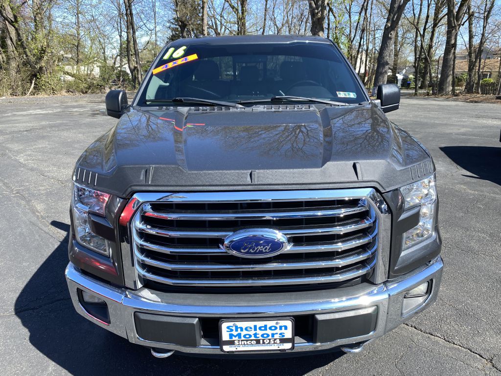 2016 Ford F-150 Image 3