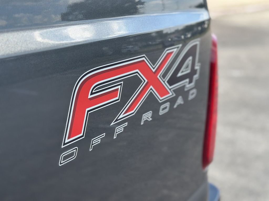 2015 Ford F-250 Image 10