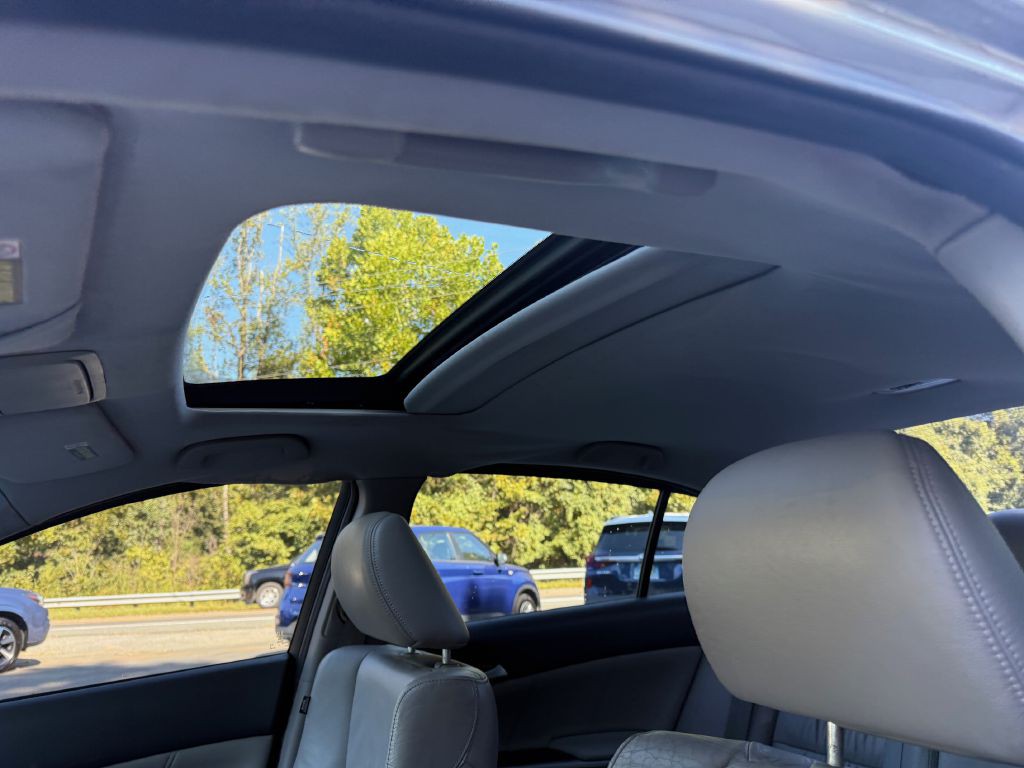 2010 Honda Accord Image 14
