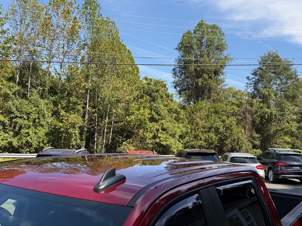 2019 Chevrolet Silverado 1500 Image 6