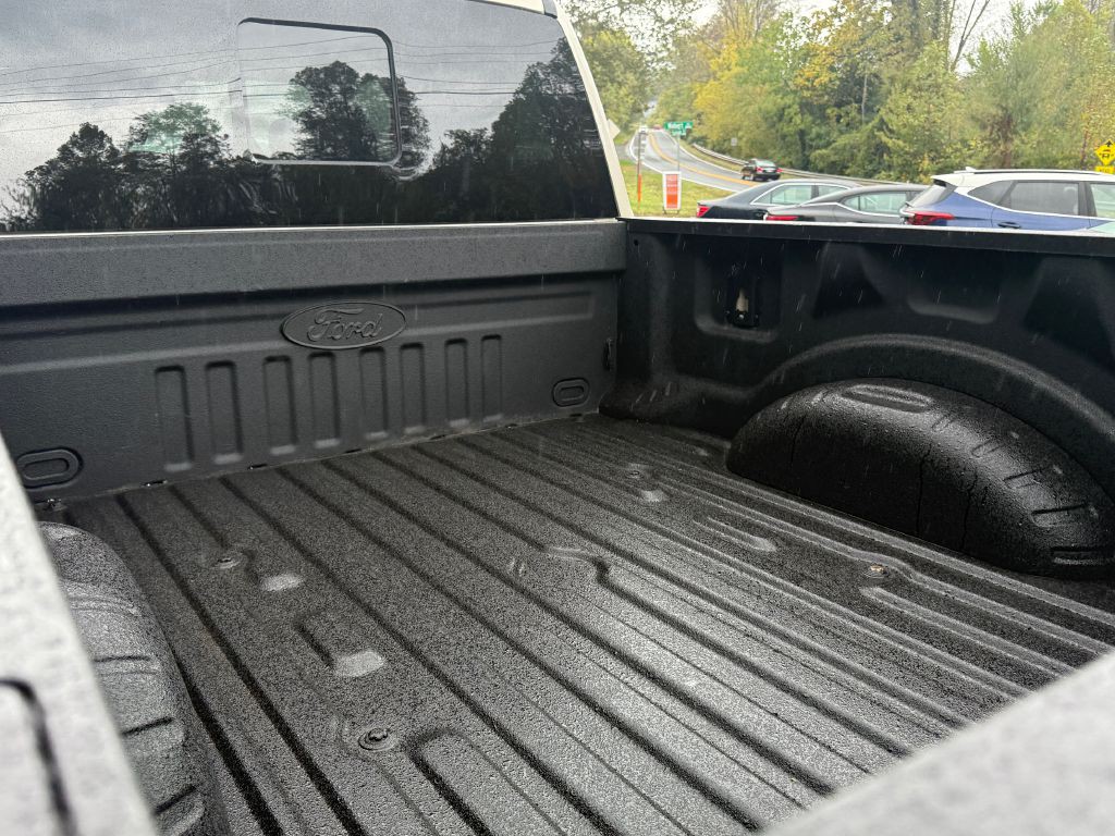 2017 Ford F-250 Image 9