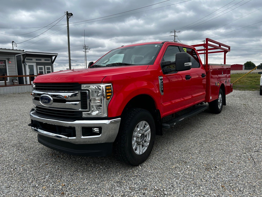 2019 Ford F-250 Image 3