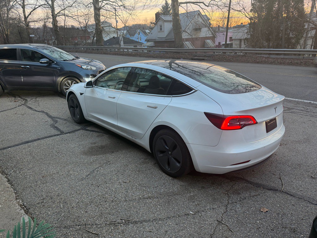 2020 Tesla Model 3 Image 4