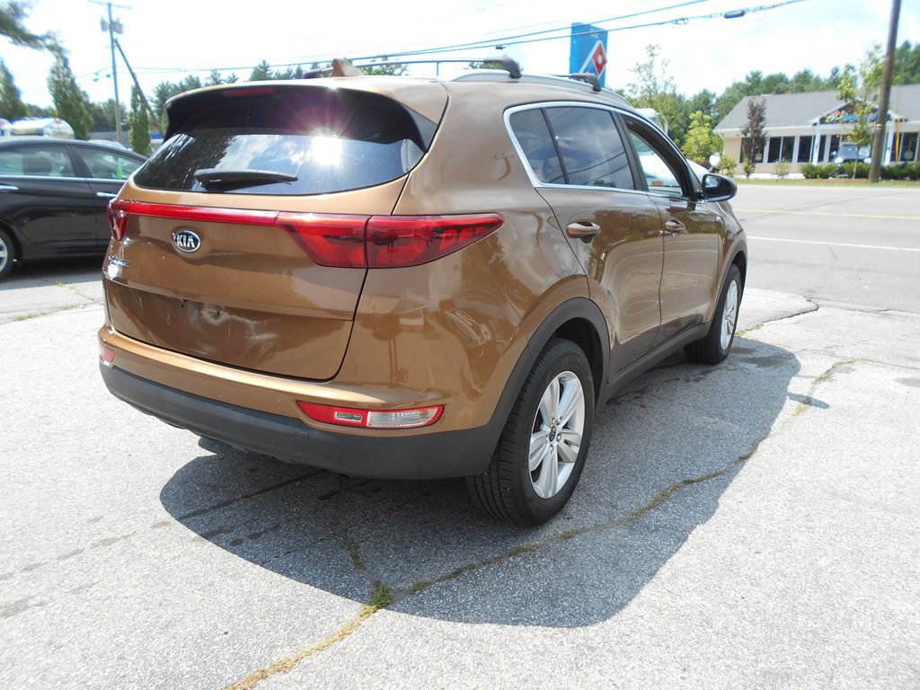 2019 Kia Sportage Image 5