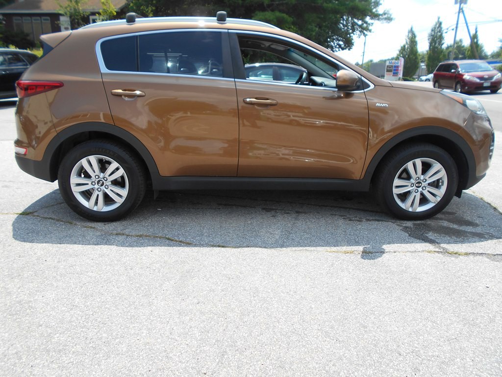 2019 Kia Sportage Image 6