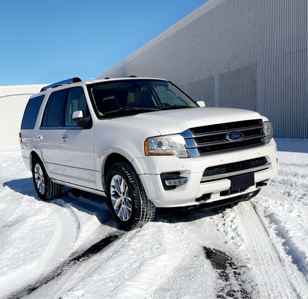 2015 Ford Expedition Image 1