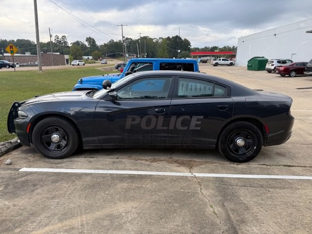 2019 Dodge Charger Image 2