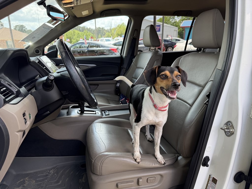 2017 Honda Pilot Image 9