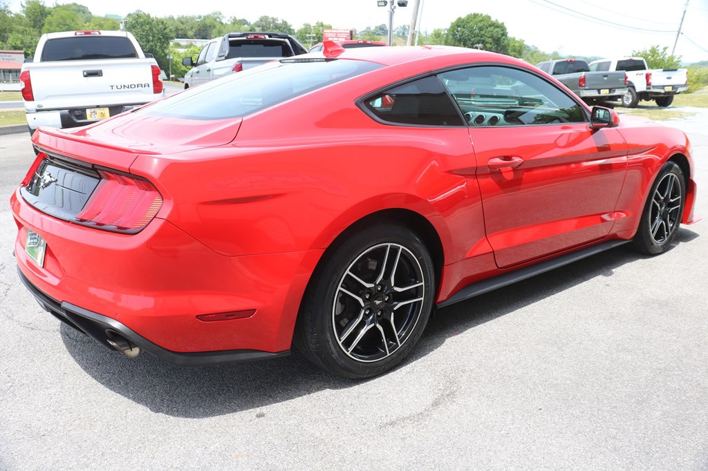 2022 Ford Mustang Image 5