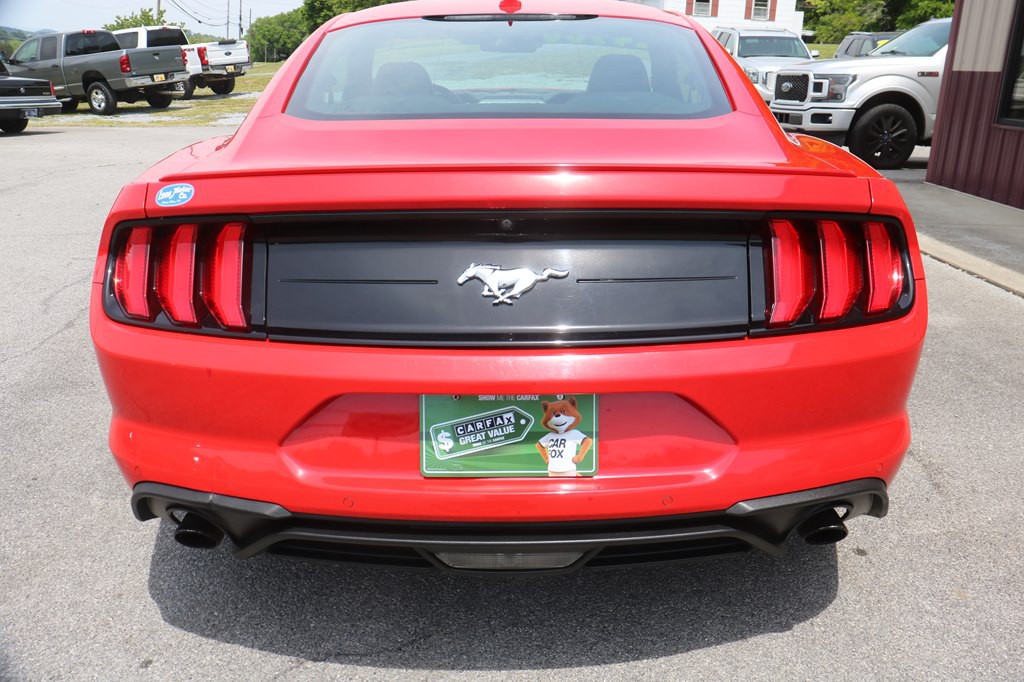 2022 Ford Mustang Image 6