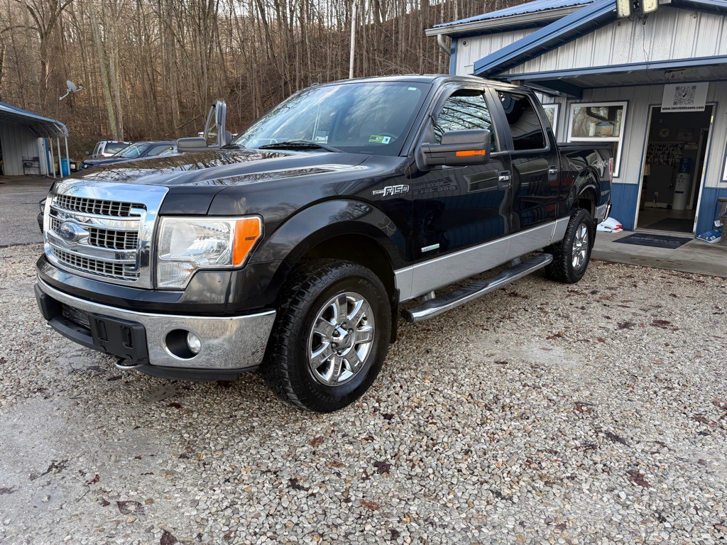 2013 Ford F-150 Image 1