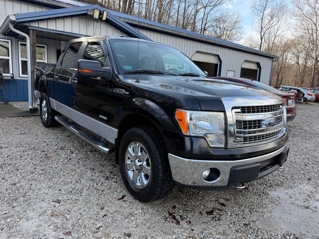 2013 Ford F-150 Image 2