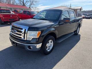 Image for 2010 Ford F-150 XL ID: 7099319