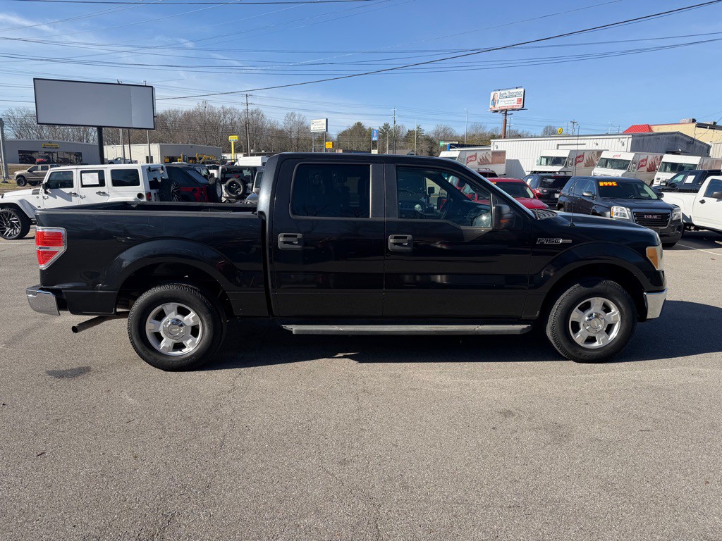2010 Ford F-150 Image 4
