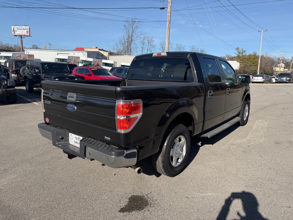 2010 Ford F-150 Image 5