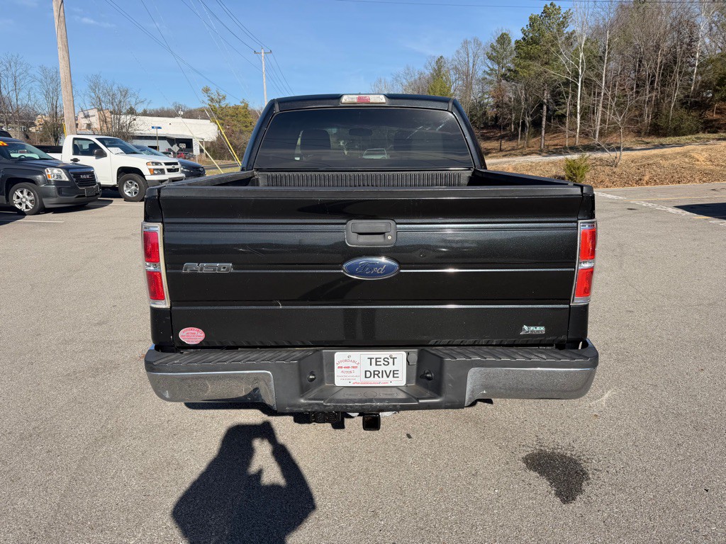 2010 Ford F-150 Image 6