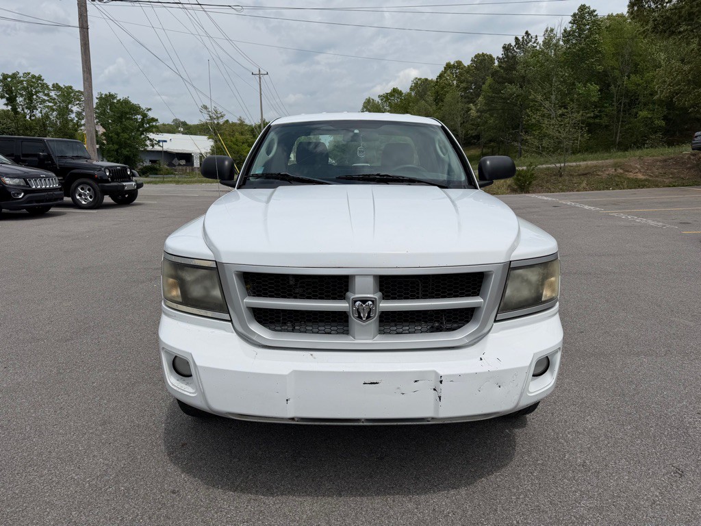 2010 Dodge Dakota Image 2