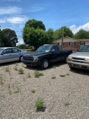 Image for 1999 Dodge Dakota  ID: 6639619