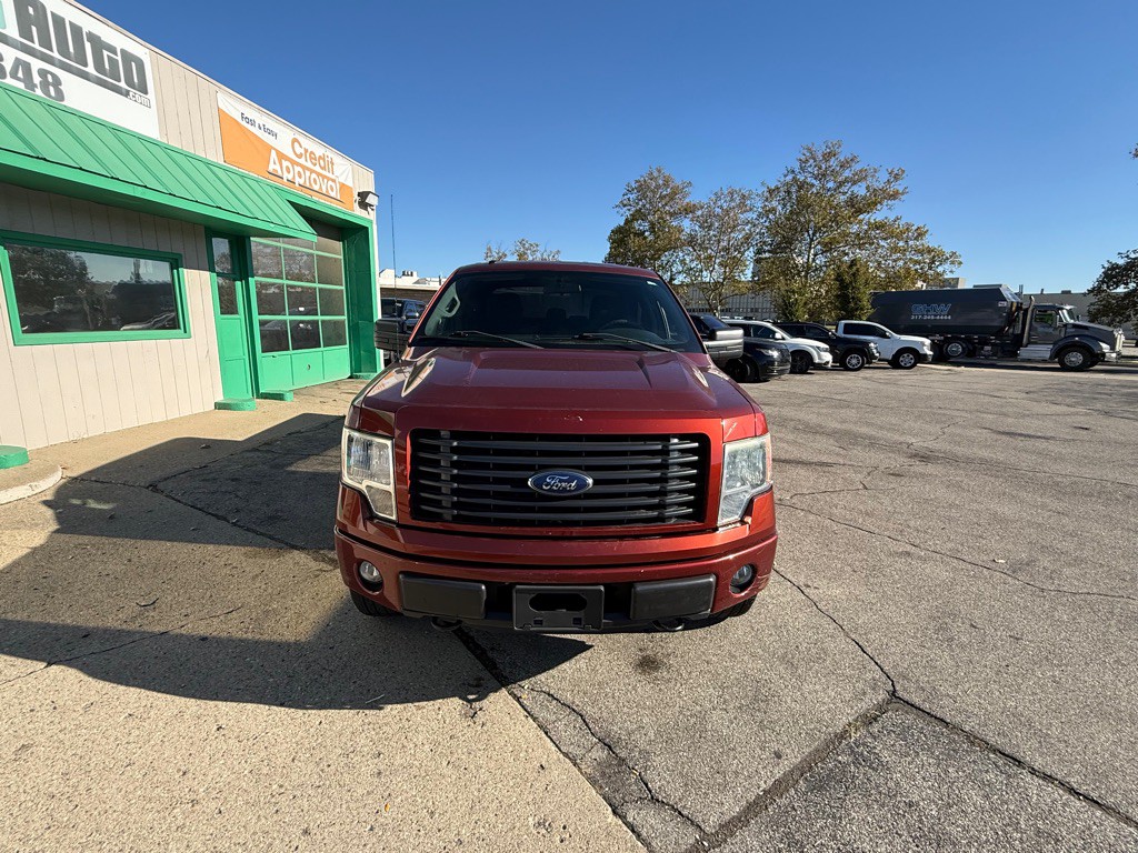 2014 Ford F-150 Image 3