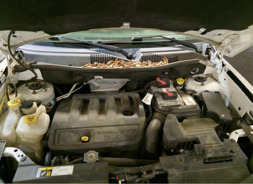 2017 Jeep Compass Image 15