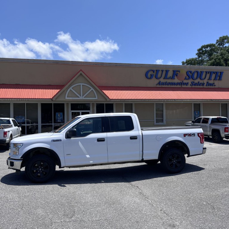 2015 Ford F-150 Image 1