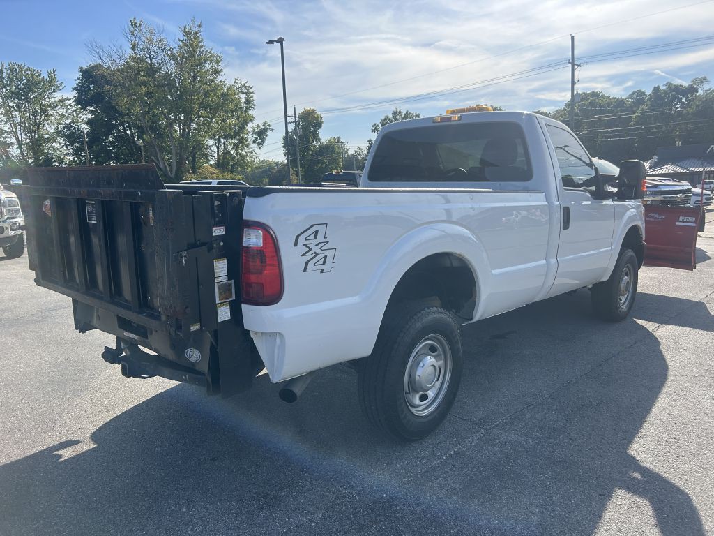 2015 Ford F-250 Image 3