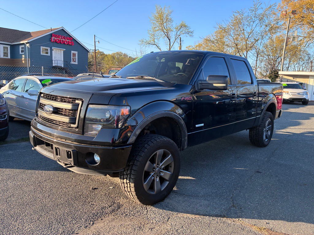 2014 Ford F-150 Image 3