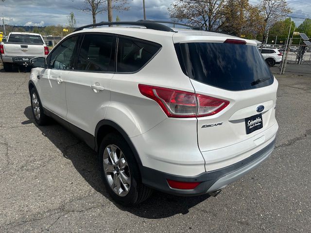 2014 Ford Escape Image 3