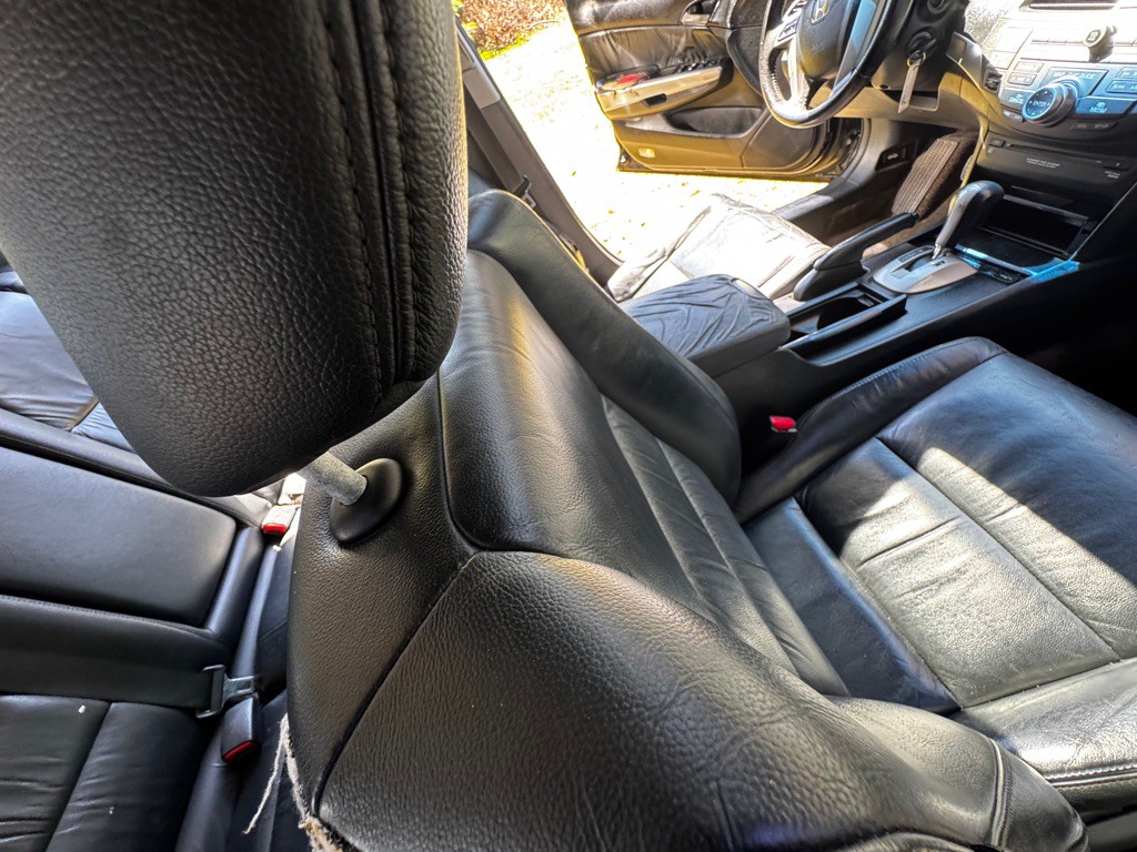 2010 Honda Accord Image 13