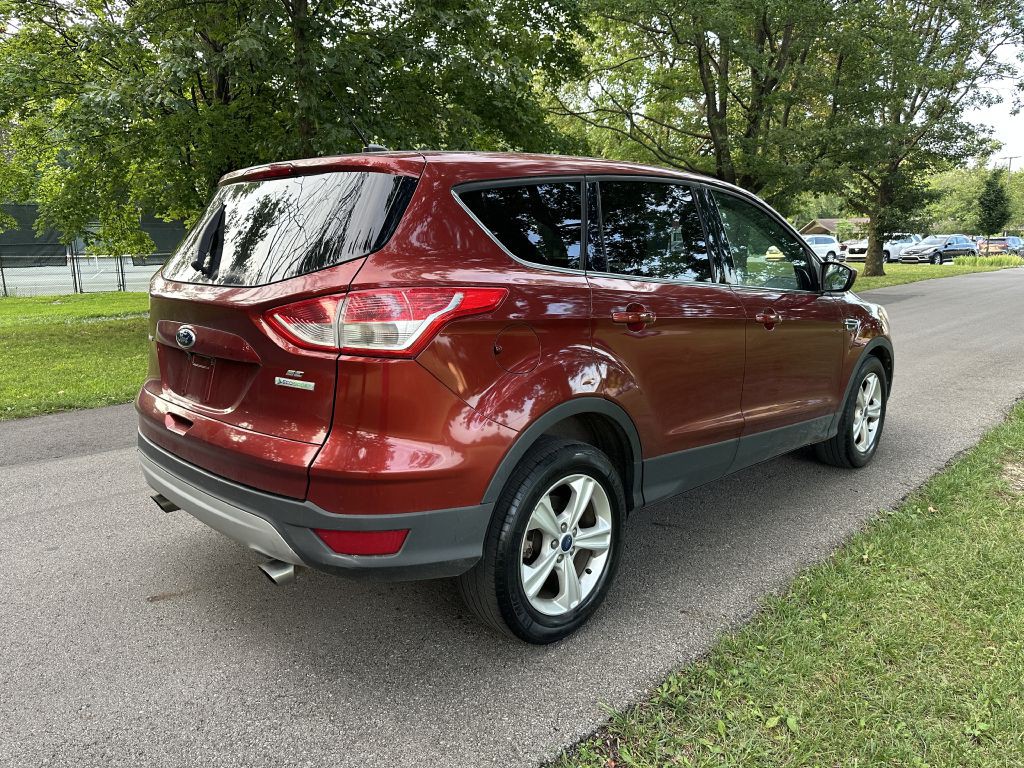 2014 Ford Escape Image 5