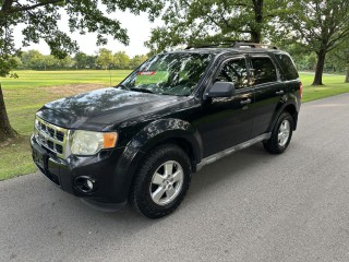 Image for 2009 Ford Escape XLT ID: 6719947