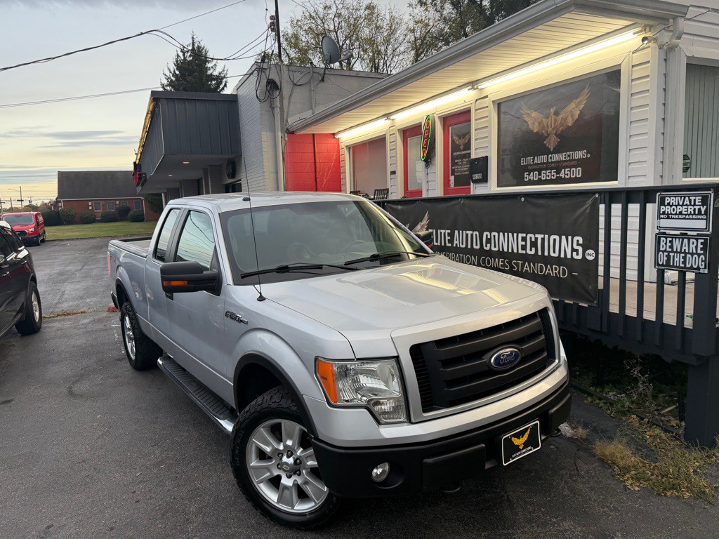2010 Ford F-150 Image 1