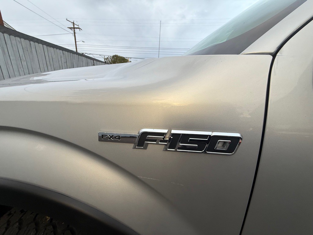 2010 Ford F-150 Image 13