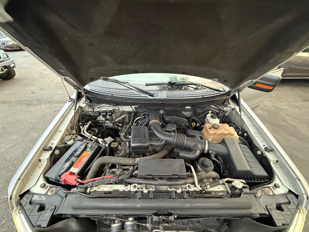 2010 Ford F-150 Image 44