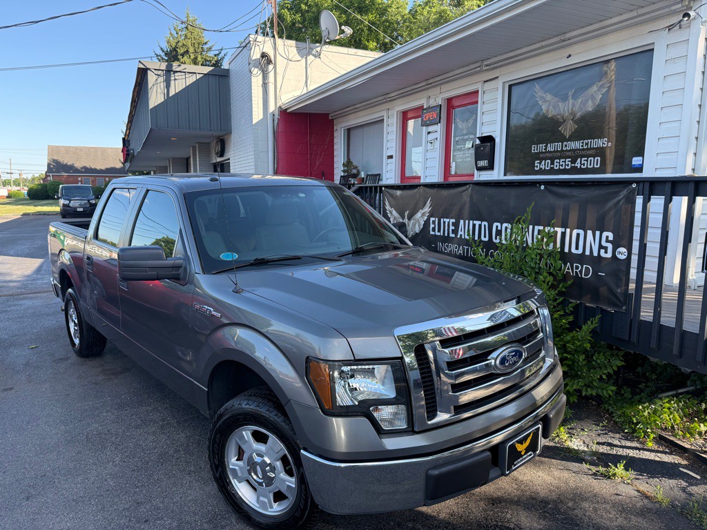 2010 Ford F-150 Image 1