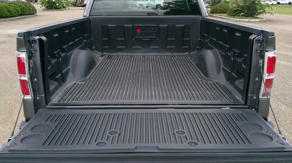 2010 Ford F-150 Image 6