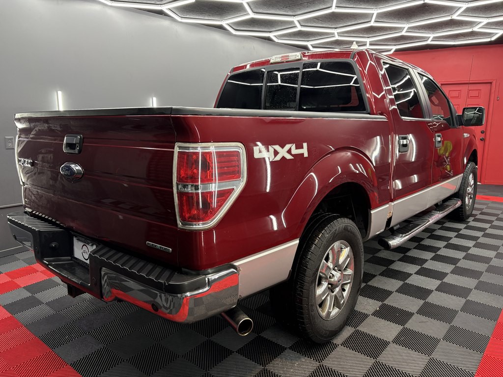2014 Ford F-150 Image 4