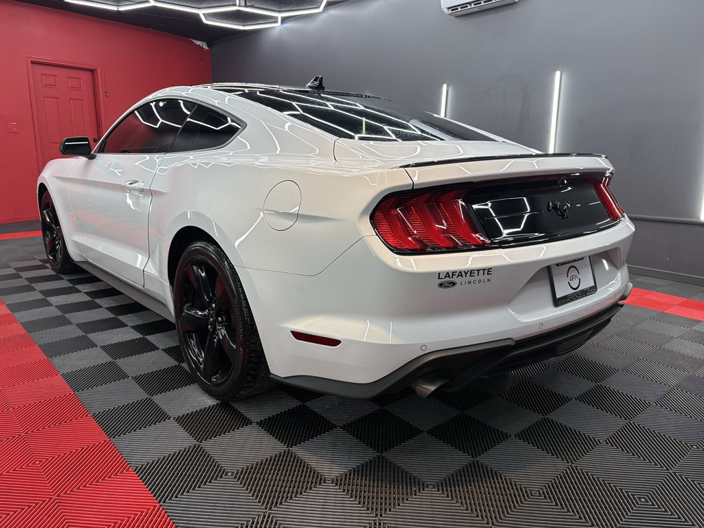 2021 Ford Mustang Image 6