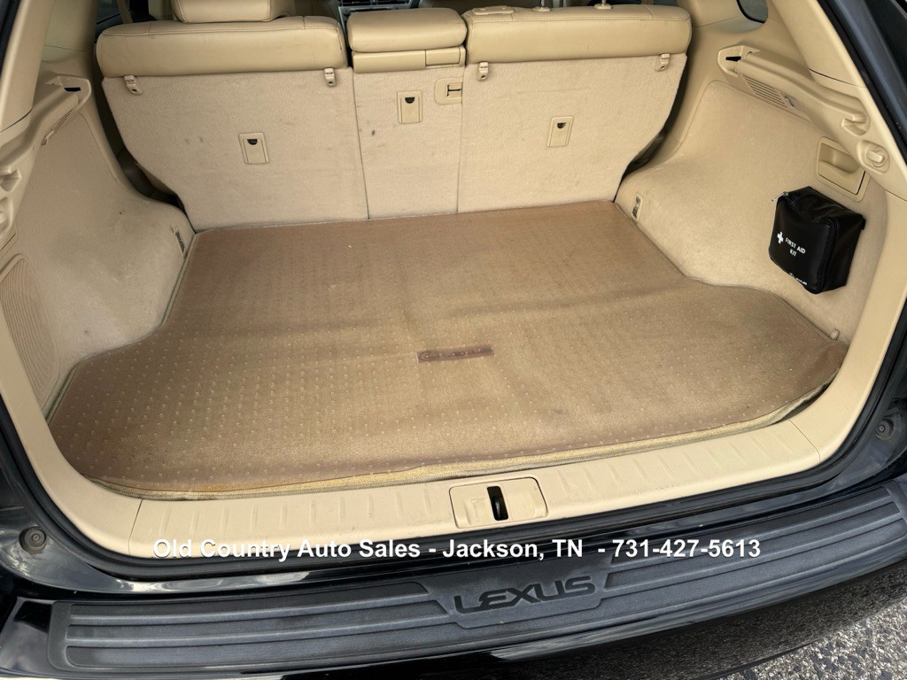 2010 Lexus RX Image 11