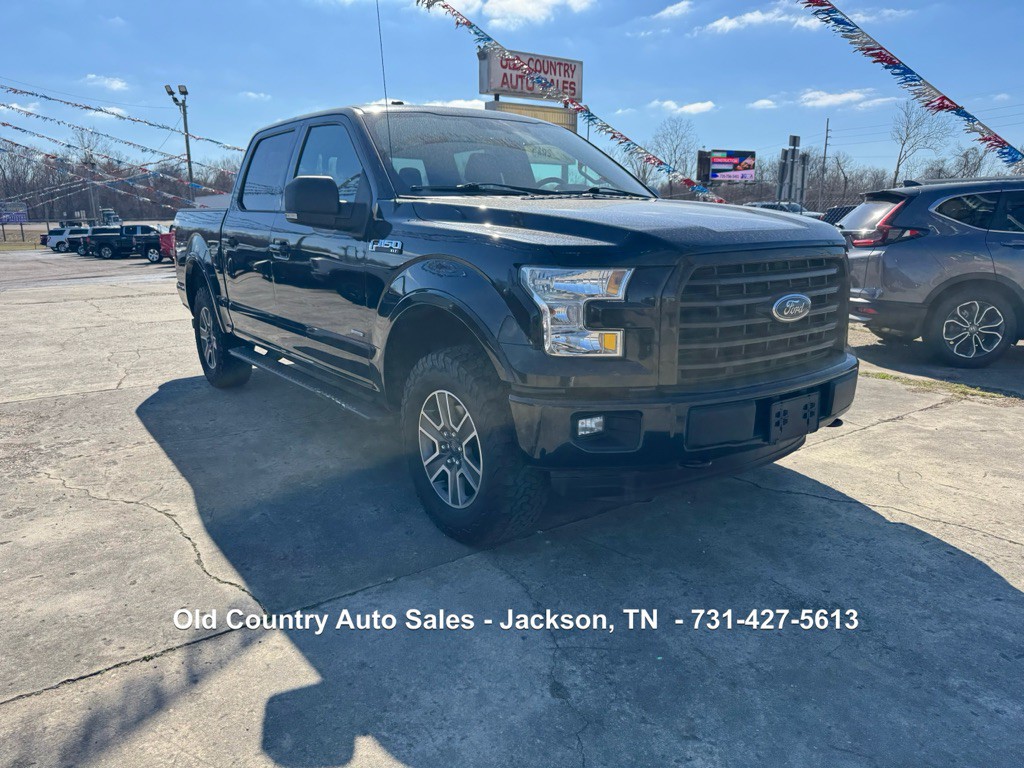 2016 Ford F-150 Image 4