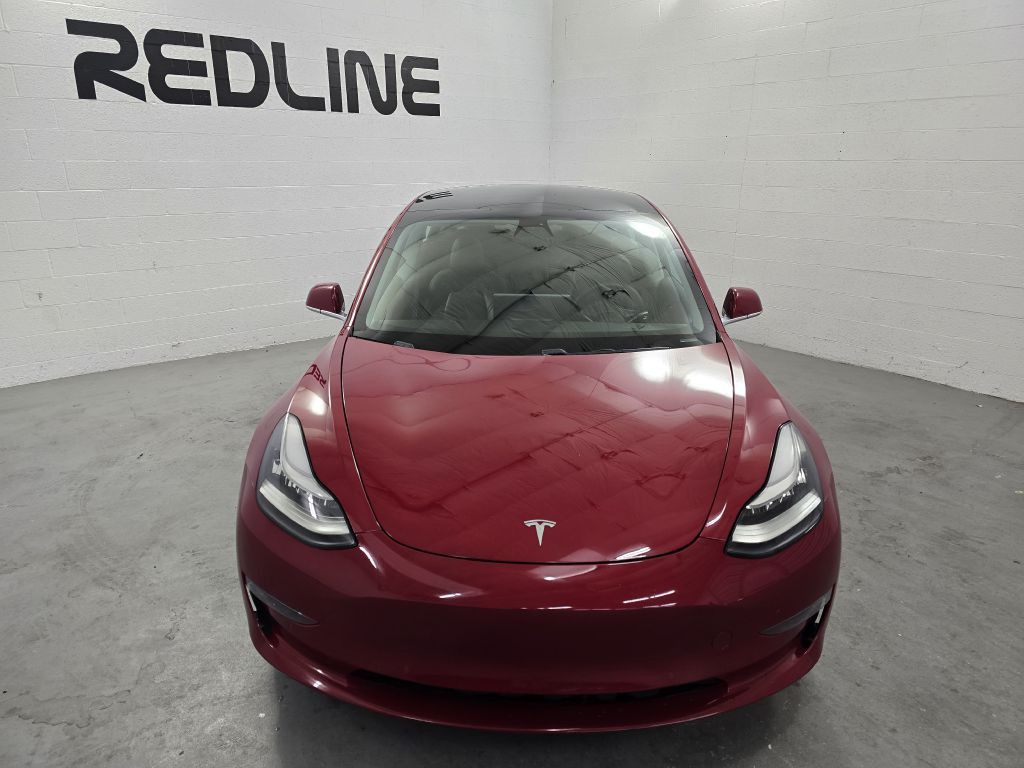 2019 Tesla Model 3 Image 2