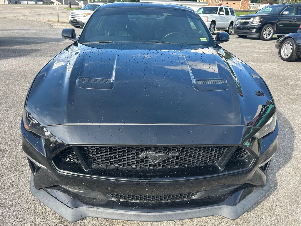 2019 Ford Mustang Image 7