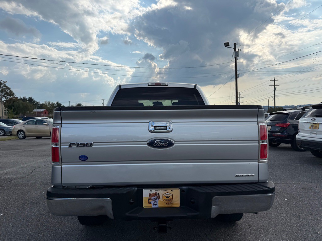 2014 Ford F-150 Image 3