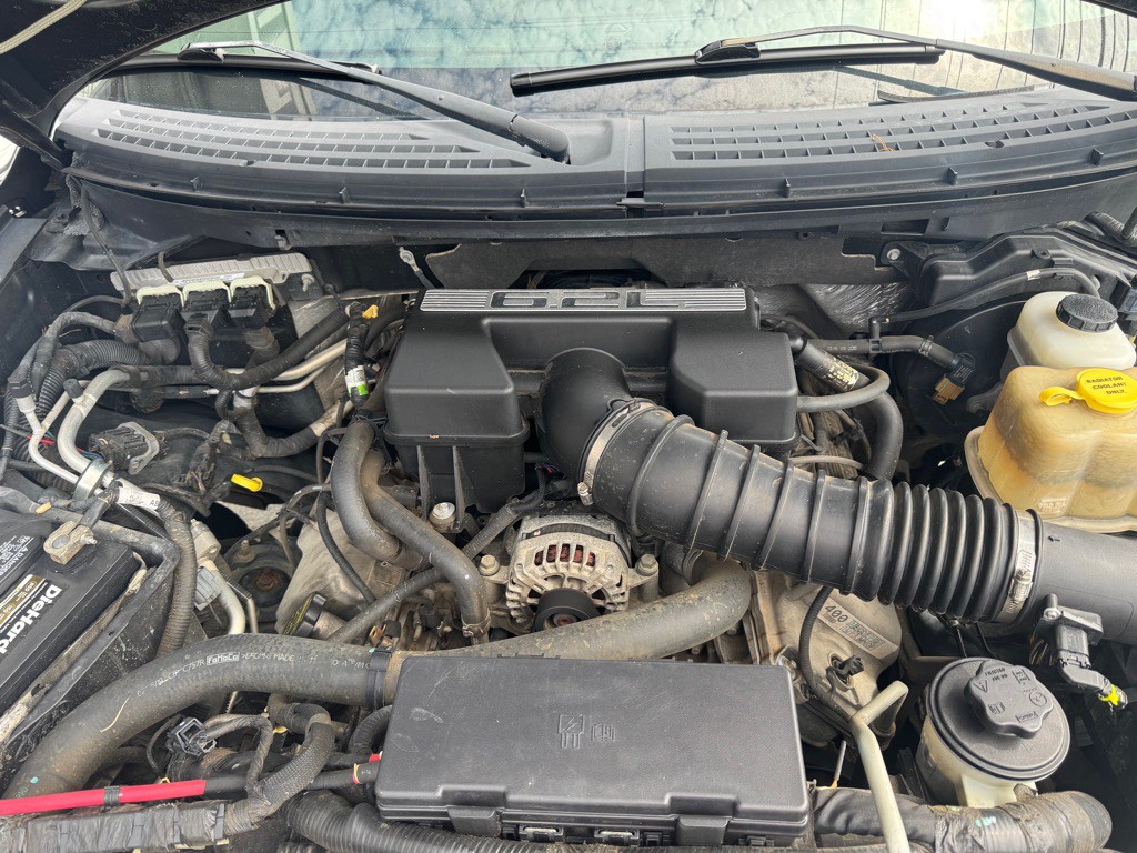 2010 Ford F-150 Image 24