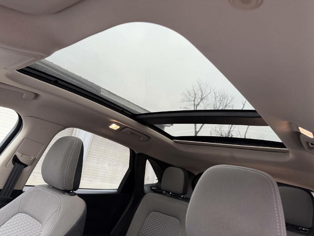 2020 Ford Escape Image 12