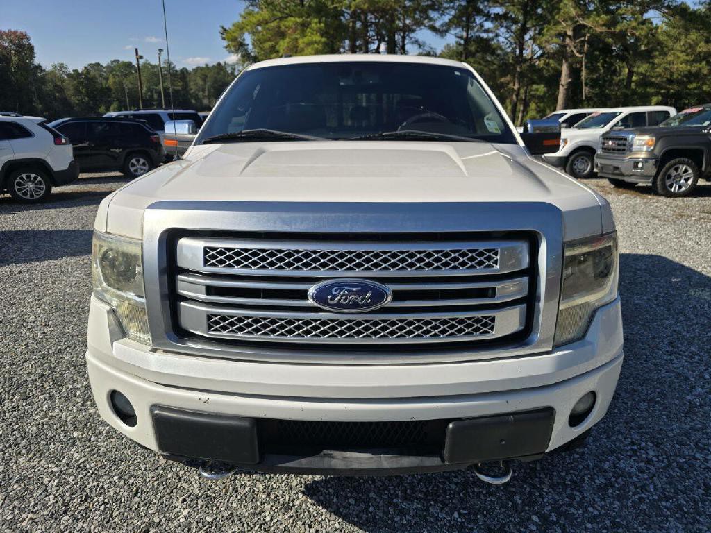 2013 Ford F-150 Image 2