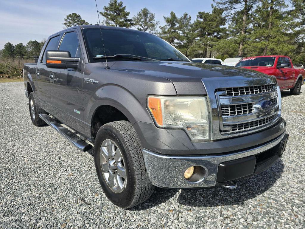 2014 Ford F-150 Image 3
