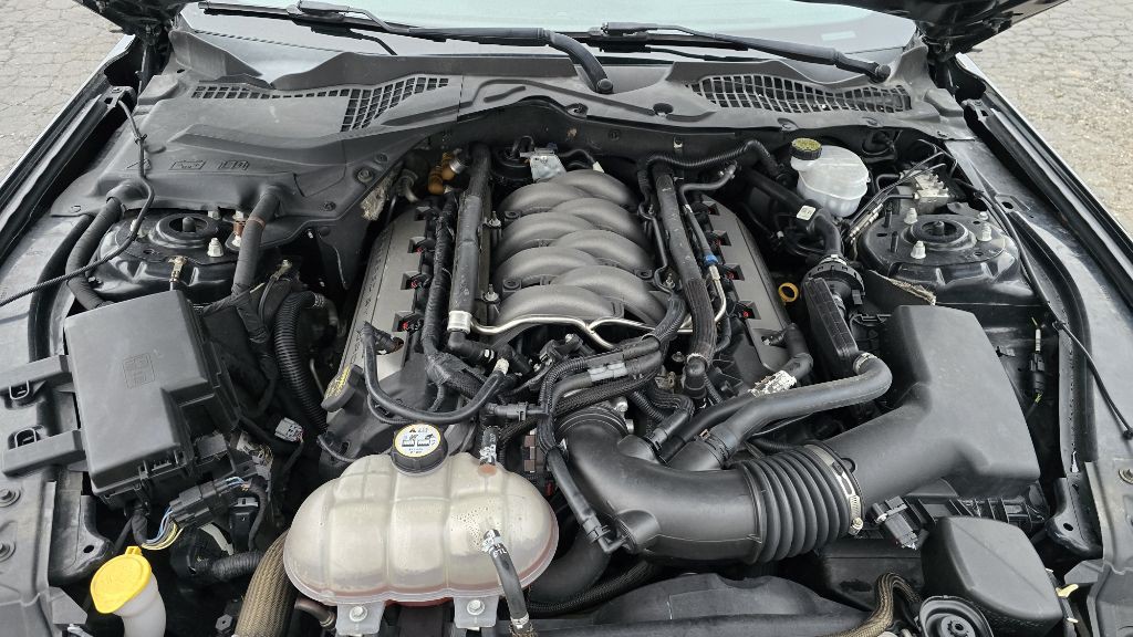 2015 Ford Mustang Image 21