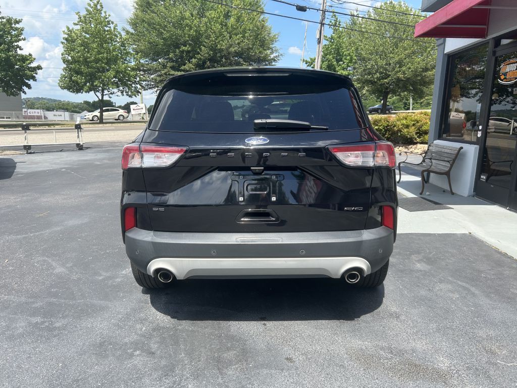2021 Ford Escape Image 6