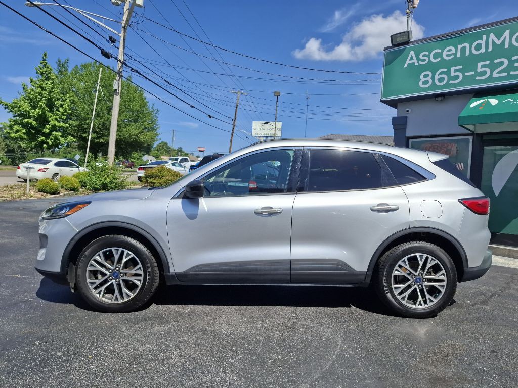 2020 Ford Escape Image 5